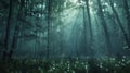 Serene forest at sunrise with moss covered trees, dewdrops, fog, and gentle soft light ambiance Royalty Free Stock Photo