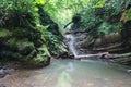 Serene forested cliffs covered with ivy and moss with flowing waterfall