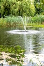 Tranquil Park Fountain Amidst Lush Greenery and Pond Royalty Free Stock Photo