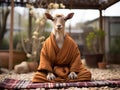 Goat doing yoga in garden