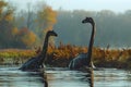 Concept Nature Photography, Tranquil Scenes, Giant Serene Giants Wading Through Autumn Waters