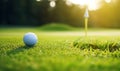 The Serene Golf Ball Resting on the Lush Green Field