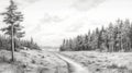 Serene Gravel Path Through Woods: Detailed Penciling And Monochrome Landscapes Royalty Free Stock Photo