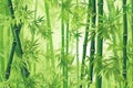 Serene Green Bamboo Background