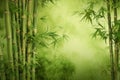 Serene Green Bamboo Background