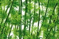 Serene Green Bamboo Background