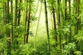 Serene Green Bamboo Background