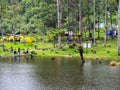 Serene heart camping at Lake Tambing