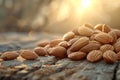 A serene image capturing raw almonds basked in the warm, golden light of the setting sun. Generative AI
