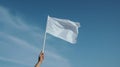 hand waving white flag against blue sky