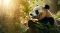 A tranquil panda munching on bamboo in a warm, sunlight-filled forest setting