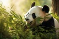 A tranquil panda munching on bamboo in a warm, sunlight-filled forest setting