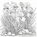 Serene Iris Garden Coloring Page With Engraved Line-work