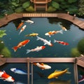 A serene Japanese koi pond with colorful fish and a wooden bridge2 Royalty Free Stock Photo