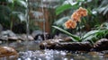 Serene Japanese Zen Garden with Orchid, Bamboo, and Rock Fountain Royalty Free Stock Photo