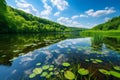 Serene Lake Amidst Lush Greenery and Blue Skies