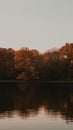 A serene lake a forest in autumn dark evening image generative AI