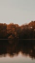 A serene lake a forest in autumn dark evening image generative AI Royalty Free Stock Photo
