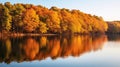 Autumn Serenity: A Tranquil Forest Scene With Vibrant Oak Colors Royalty Free Stock Photo