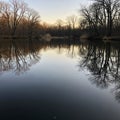 Bare tree branches are silhouetted against a clear sky at dusk Royalty Free Stock Photo