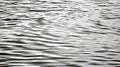 serene lake ripples Royalty Free Stock Photo