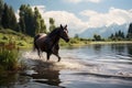 The serene lake setting is graced by a beautifully groomed, dark horse