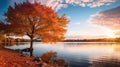 Serene Autumn Wetland: A Tranquil Scene Of Cherry Trees And Calm Waters