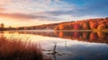 Serene Autumn Wetland: A Tranquil Scene Of Cherry Trees And Calm Waters Royalty Free Stock Photo