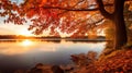 Serene Autumn Wetland With Vibrant Cherry Trees Reflecting On Calm Water Royalty Free Stock Photo