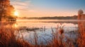 Serene Autumn Wetland: A Tranquil Scene Of Vibrant Colors Royalty Free Stock Photo