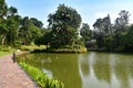 Serene Lakeside Pathway at Singapore Botanic Gardens