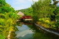 Serene landscape - the bridge in the jungle Royalty Free Stock Photo