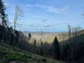 Serene Landscape of Buhl, Alsace, with Sprawling Forest and Distant Mountains in View Royalty Free Stock Photo