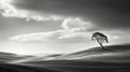 Serenity In Monochrome Captivating Lone Tree Landscape Photography