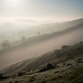 A serene landscape with rolling hills covered in a light mist Royalty Free Stock Photo