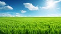 Serene landscape view. barren green plain under clear blue sky with fluffy white clouds Royalty Free Stock Photo
