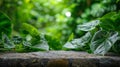 The Serene Leafy Stone Table.AI generated image Royalty Free Stock Photo