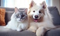 In a serene living room, two adorable pets, a dog and a cat. AI generative