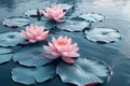 Serene Lotus Blossoms on Tranquil Waters. Concept Lotus Flowers, Tranquil Waters, Nature, Serene Royalty Free Stock Photo