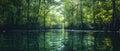 Serene Mangrove Waterways: Nature\'s Vulnerable Symphony. Concept Nature Photography, Wildlife