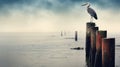 Serene Maritime Themes: A Stork On An Old Pier