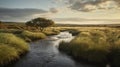 Serene Marsh In Yorkshire: A Hasselblad H6d-400c Landscape Photography Royalty Free Stock Photo