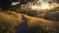 Serene Meadow Pathway at Sunset Royalty Free Stock Photo