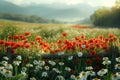 Serene meadow with poppies and daisies at sunrise