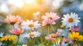 A serene meadow with white and pink daisies and golden dandelions in soft evening light