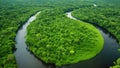 A serene, meandering river coursing through a lush green forest surrounded by vibrant vegetation and tall trees, A winding river