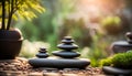 A serene meditation garden with Zen elements