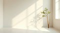 Serene minimalist room corner featuring a single plant with sunlight streaming through a window, casting a soft shadow on the wall Royalty Free Stock Photo