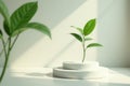 Serene minimalist scene a young plant sprouting on a two-tiered white display platform, bathed in soft sunlight. Generative AI Royalty Free Stock Photo