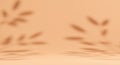 Soft warm beige background with abstract botanical shadows Royalty Free Stock Photo